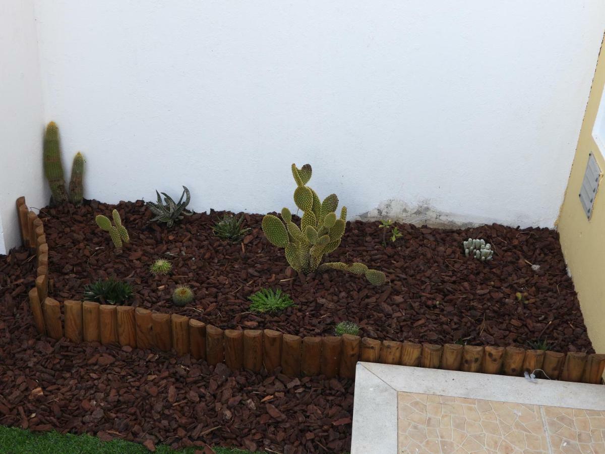 הוילה Cercal do Alentejo Madressilva House מראה חיצוני תמונה